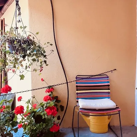 Chasina Rosa Апартаменты Скуоль